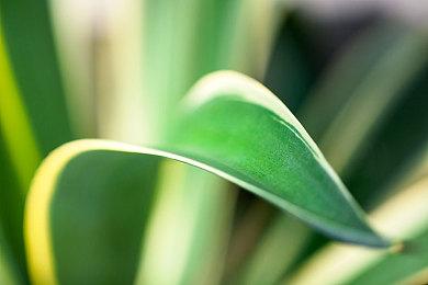 《绝地潜兵2》超级地球环境更新：无法避免的入侵